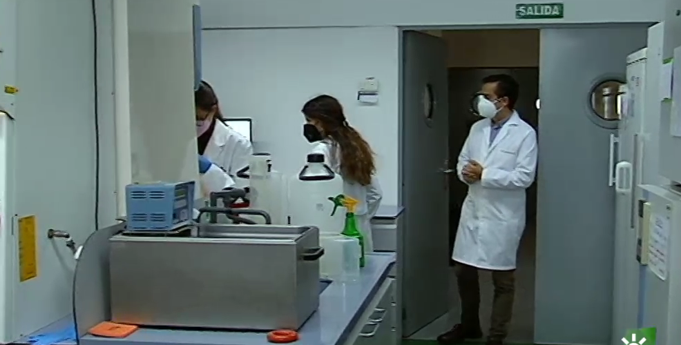 laboratorio